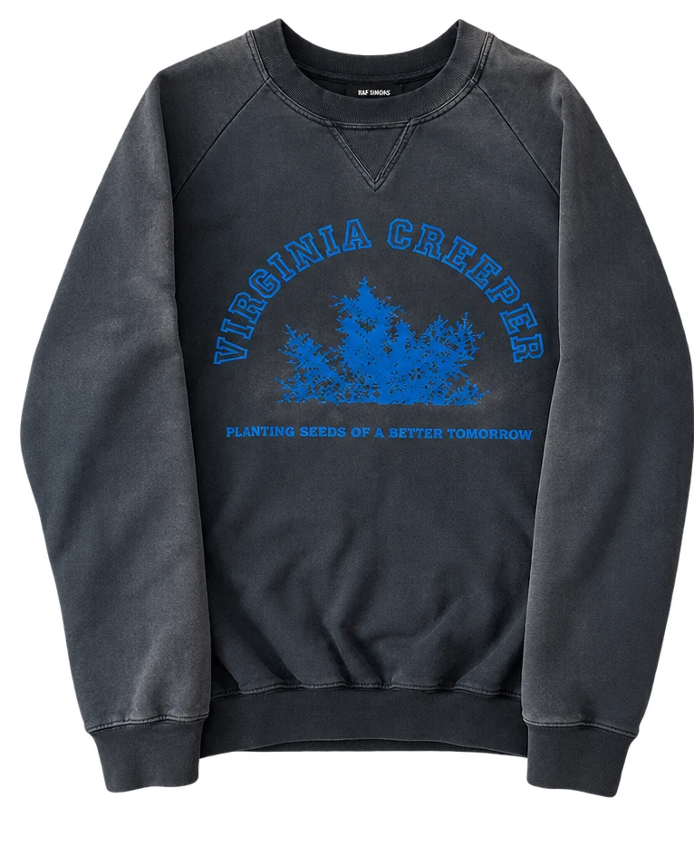 Raf Simons AW02 «Virginia Creeper» Sweatshirt